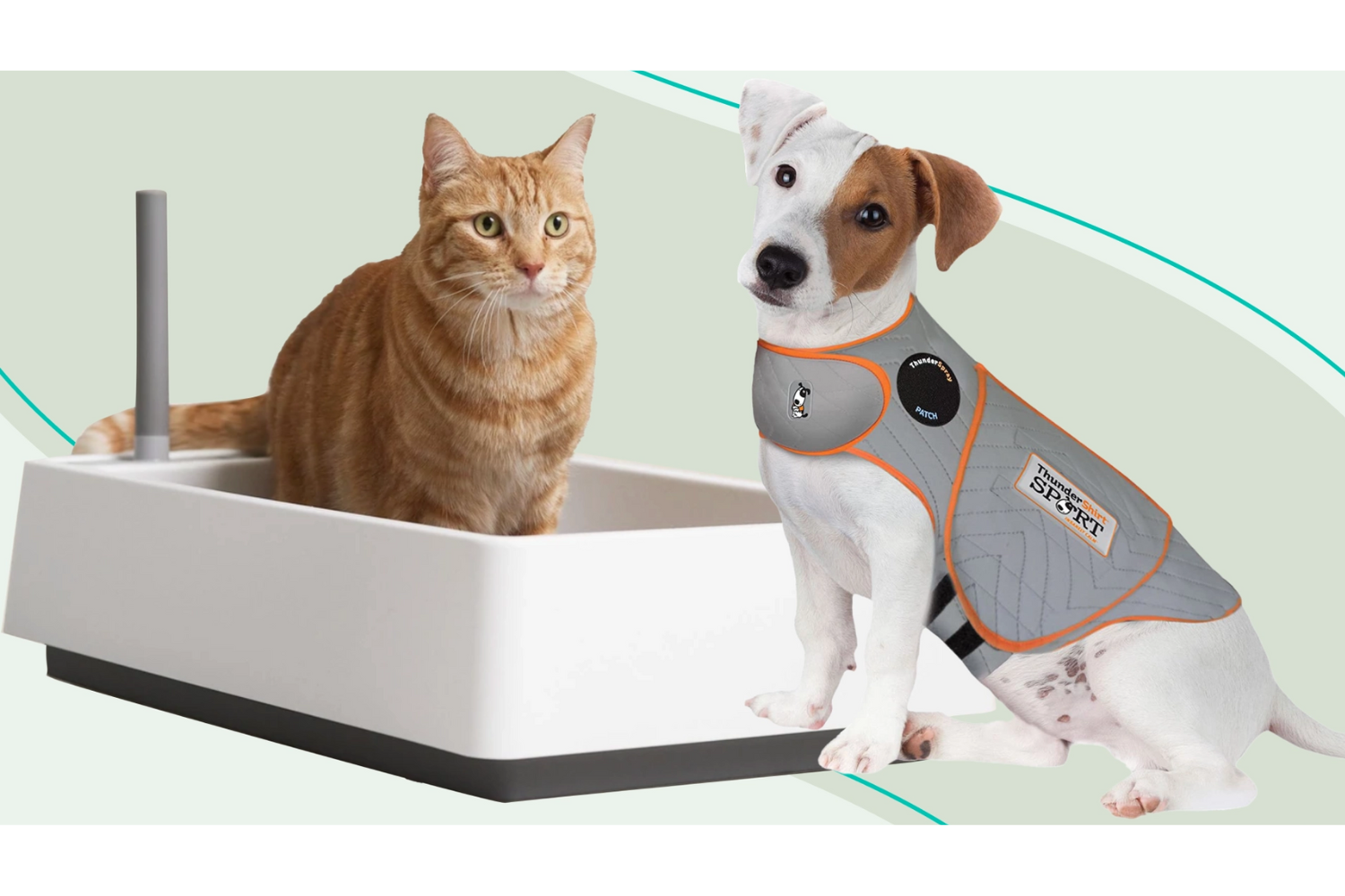 Pet Products That Make Life Easier