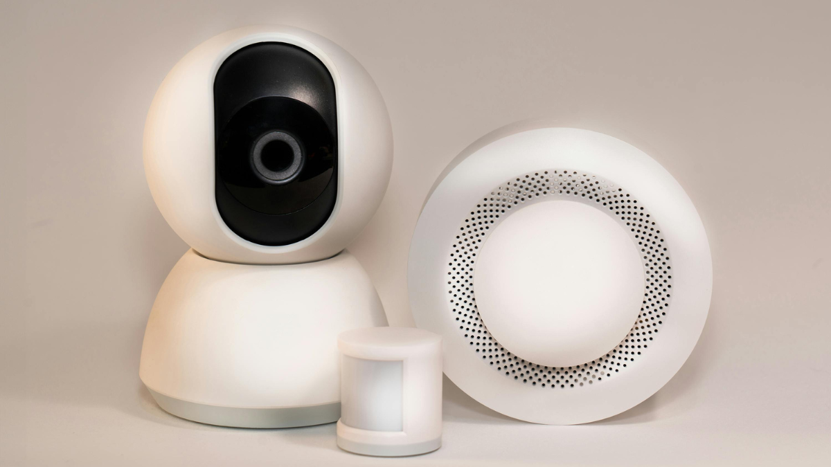 Best Pet Cameras to Watch Your Furry Friend