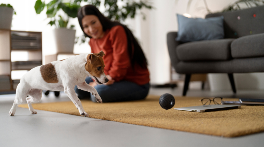 Socialization and Confidence Building