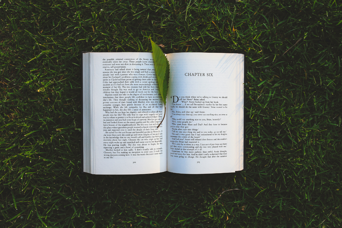 Hidden Treasures: How to Find Rare and Collectible Books on AbeBooks