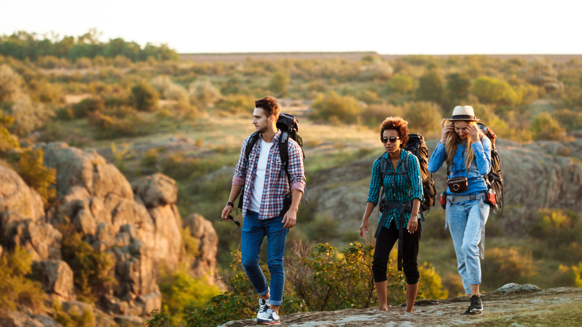 Things to Do on Expedia: Top Activities & Tours for Your Next Trip