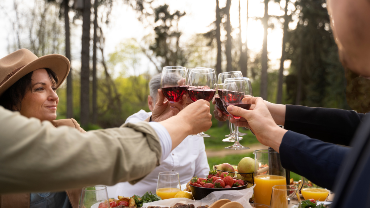 Top Wine Tasting Tours You Can Book This Year With Fever