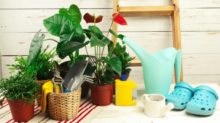 Top Yard & Garden Essentials to Buy on eBay for Outdoor Living