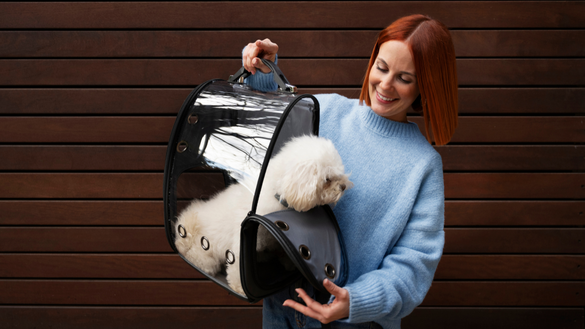 Pamper Your Pets with Must-Have Petlibro Gadgets